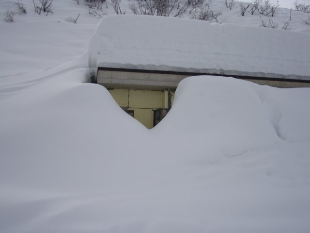ssimone11mar201035.jpg